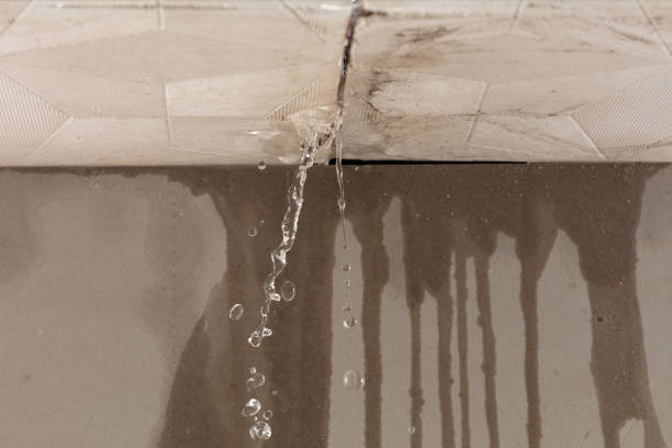 Professional Burst Pipe Cleanup technician working in Verona, NJ